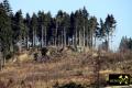 Diabasbombentuffklippen NW des Autobahndreieck Hochfranken (A72-A93) bei Hof, Bayern, (D) (2) 09. Februar 2011.JPG